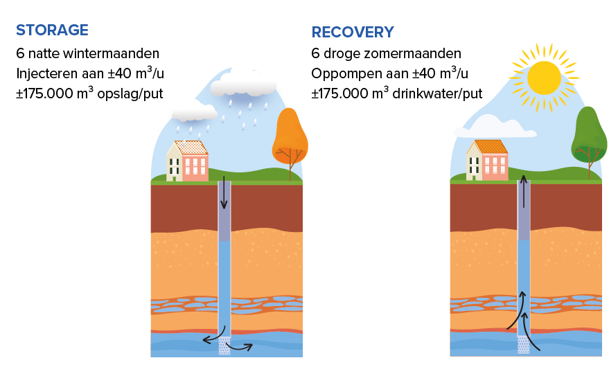 Hoe werkt ondergrondse opslag van drinkwater?

STORAGE: 6 natte wintermaanden, injecteren aan ±40 m³/u, ±175.000 m³ opslag/put

RECOVERY: 6 droge zomermaanden, oppompen aan ±40 m³/u, ±175.000 m³ drinkwater/put